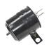 Standard Ignition CP3029 Vapor Canister Fuel Vapor Canister