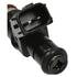 FJ1204 by STANDARD IGNITION - Fuel Injector - MFI - New