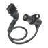 PC442 by STANDARD IGNITION - Crankshaft Sensor