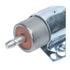 RC-3 by STANDARD IGNITION - Radio Capacitor