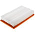 CA10094 by FRAM - Flexible Panel Air Filter