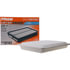 CA10163 by FRAM - Rigid Panel Air Filter