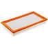 CA10242 by FRAM - Flexible Panel Air Filter