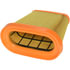 CA12062 by FRAM - Axial Flow Air Filter
