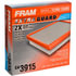 CA3915 by FRAM - Flexible Panel Air Filter