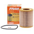 CH8081 by FRAM - Cartridge Oil Filter