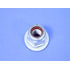 06509057AA by MOPAR - NUT/WASHR
