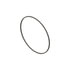 Cummins 3047188 Seal Ring / Washer Seal Ring / Washer - Rectangular