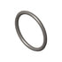 Cummins 3066914 Seal Ring / Washer Seal Ring / Washer