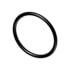 Cummins 3073966 Seal Ring / Washer Seal Ring / Washer