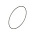 Cummins 3867646 O Ring Seal