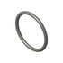 Cummins 3973512 Seal Ring / Washer Seal Ring / Washer