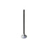 Cummins 4101454 Engine Exhaust Valve Engine Exhaust Valve