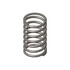 Cummins 143250 Governor Spring