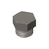 Cummins 3008470 Pipe Plug Pipe Plug