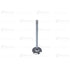 PK3142A151 by BLUMAQ - Engine Exhaust Valve