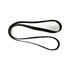 1842467C1 by INTERNATIONAL - V-Ribbed Belts - 8 Package 2100 MM, Supersedes 1842093C1