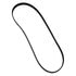 1847509C1 by INTERNATIONAL - Belt V-Ribbed 6Pk1767, Navistar Compatible