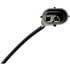 888-5208LB by DAYTON PARTS - HD FOG LIGHT