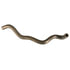 ACDelco 16309M HVAC Heater Hose