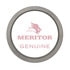 1523231 by MERITOR - SPACER