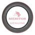 A 1205E1253 by MERITOR - SEAL ASSY-OIL