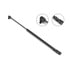 Stabilus 4B-717765 Liftgate Lift Support Liftgate Lift Support (L)