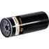 Premium Guard DF30273 Fuel Filter