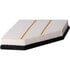 PA99819 by PREMIUM GUARD - Engine Air Filter