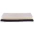 Premium Guard PA5372 Engine Air Filter pa5372