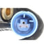 Vemo V20728803 Wheel Bearing Kit Juego de cojinete de rueda