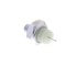 V15-99-1995 by VEMO - Oil Pressure Switch