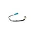 V25760034 by VEMO - Lambda Sensor