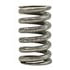 Blackmer 471807 Blackmer Relief Valve Spring TX