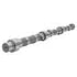 490016 by PAI - Engine Camshaft - 2004-2015 International DT570/DT530E HEUI/DT466E HEUI Engines Application
