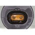 V250976 by VAICO - Control Valve, camshaft adjustment