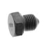 V10-0884 by VAICO - Oil Drain Plug, oil pan
