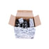 V108037XXL by VAICO - Filter W/ Oil Pan Gasket, Transmission Oil (ATF VI 7 ltr), Instl Hardware