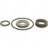 24028 by FOUR SEASONS - Carbon Shaft Seal Kit