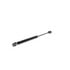 V20-2013 by VAICO - Gas Spring, bonnet