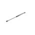 V20-0984 by VAICO - Gas Spring, bonnet