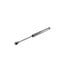 V20-0989 by VAICO - Gas Spring, bonnet