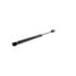 V30-8313 by VAICO - Gas Spring, boot-/cargo area