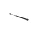 V30-8313 by VAICO - Gas Spring, boot-/cargo area