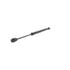 V30-8313 by VAICO - Gas Spring, boot-/cargo area