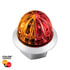 39234 by UNITED PACIFIC - Marker Light - (4) Amber and Red LED, Clear Lens, Double Fury, Watermelon Style