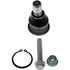 539-891 by DORMAN - Suspension Ball Joint - Rear, Lower, Pinch Bolt, Press In, Non-Greasable