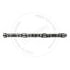 PK3141F021 by BLUMAQ - CAMSHAFT