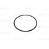 VO977061 by BLUMAQ - SEAL O-RING