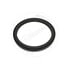 HUNE39596 by BLUMAQ - Engine Crankshaft Seal
